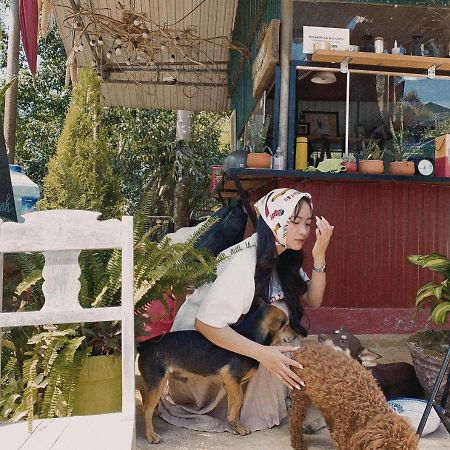 Homestay Bien Rung Gia Nghia Luaran gambar