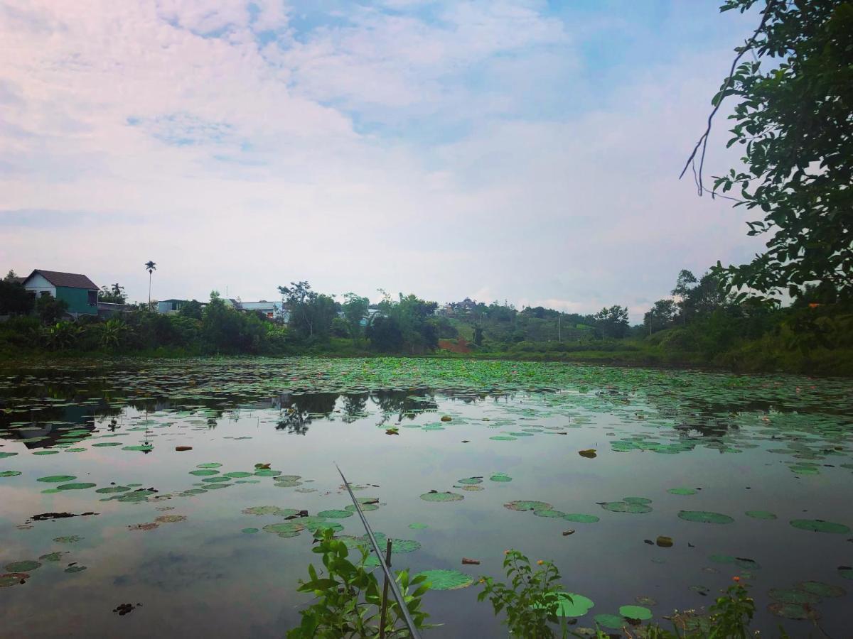 Homestay Bien Rung Gia Nghia Luaran gambar