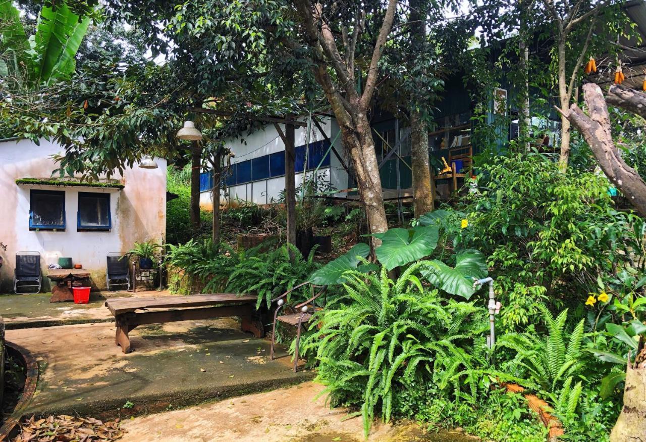 Homestay Bien Rung Gia Nghia Luaran gambar