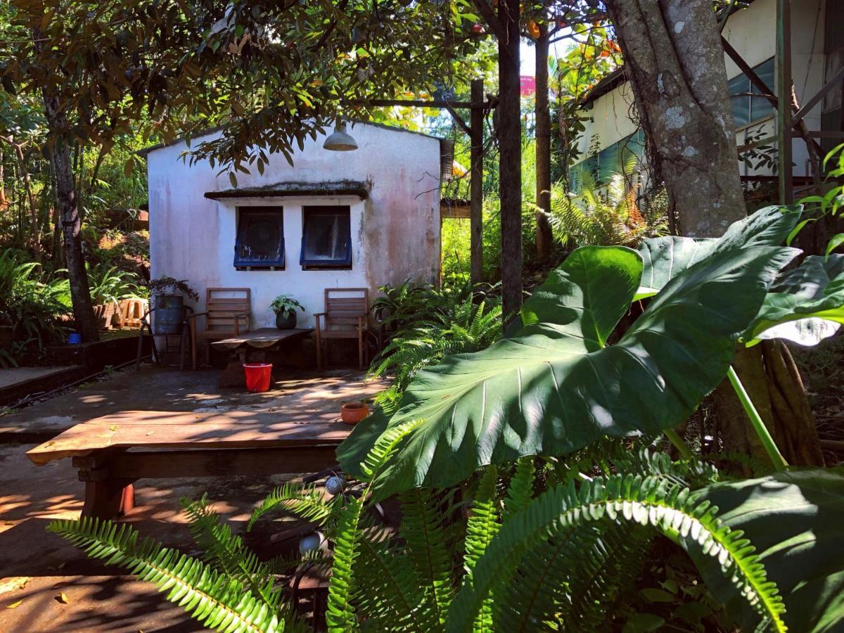 Homestay Bien Rung Gia Nghia Luaran gambar