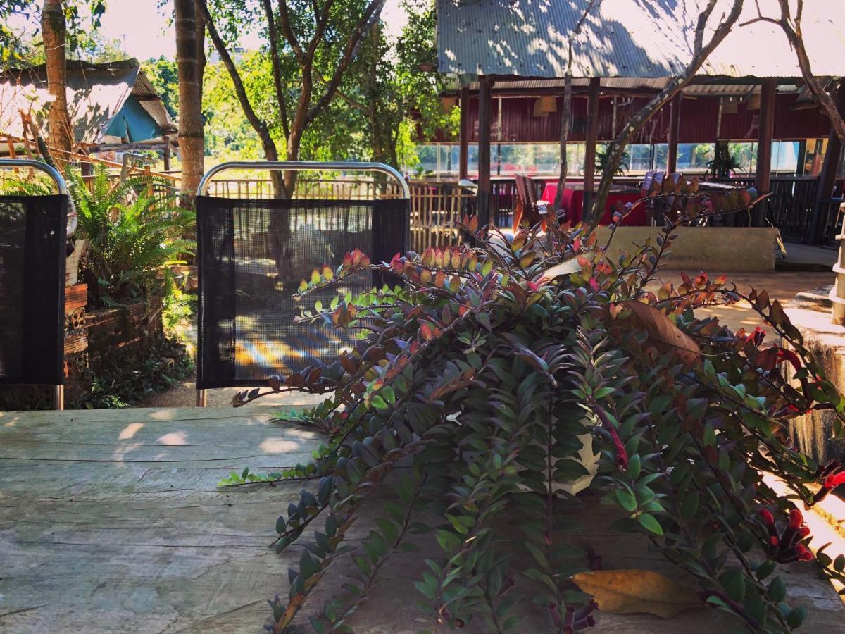 Homestay Bien Rung Gia Nghia Luaran gambar